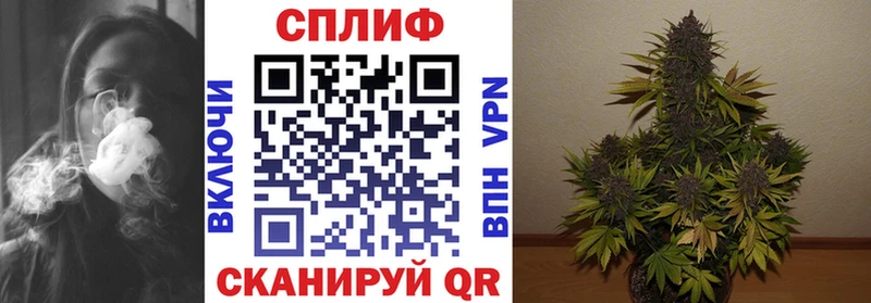 купить наркоту  Елизаветинская  Конопля тримм 